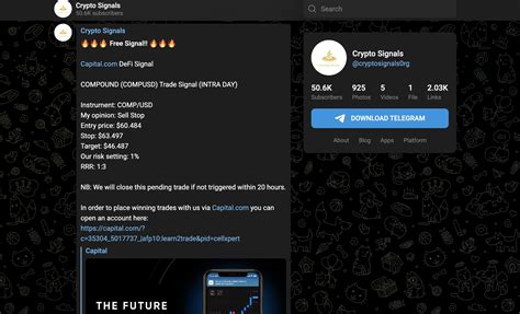 NewOFZ – Telegram.